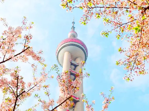 DU LỊCH TRUNG QUỐC: THƯỢNG HẢI – VÔ TÍCH – TÔ CHÂU – HÀNG CHÂU – Ô TRẤN 2026 (VN)