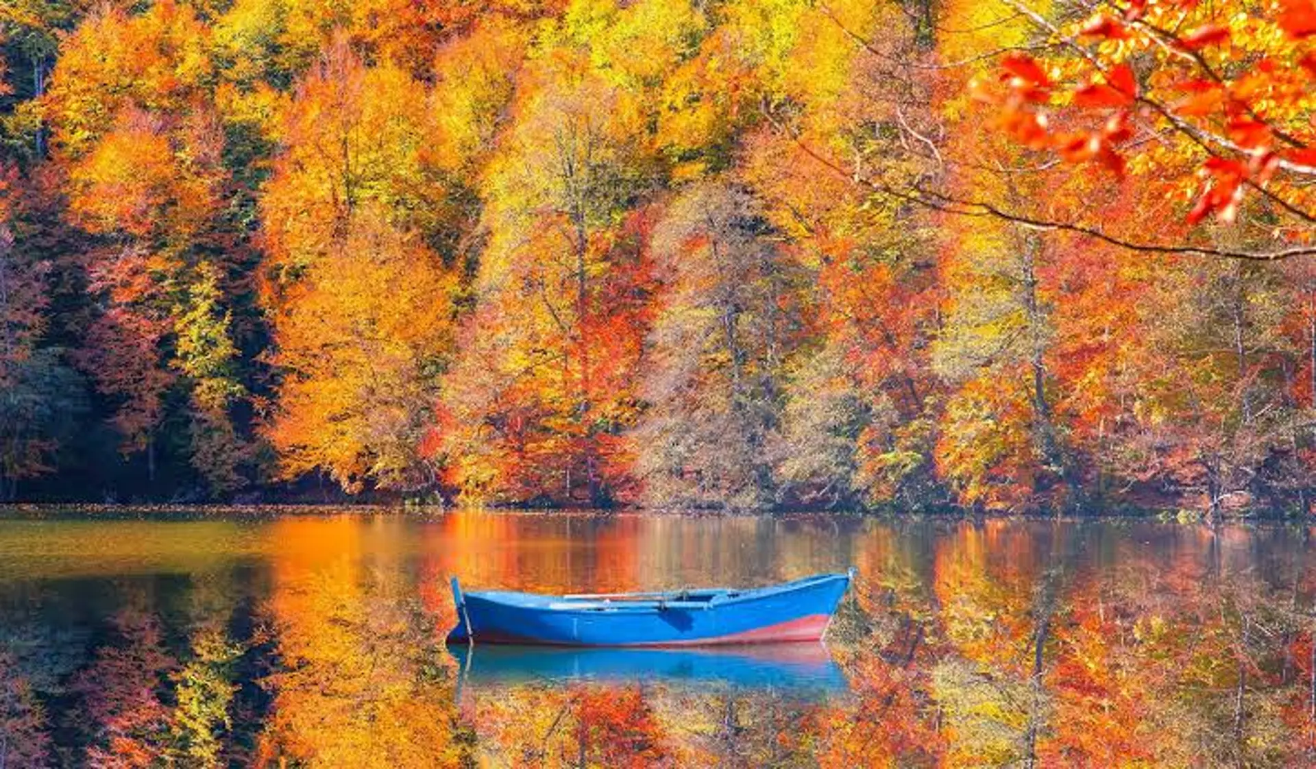 Bolu mùa thu có gì đẹp? Khám phá thiên đường rừng và hồ ít người Việt biết 
