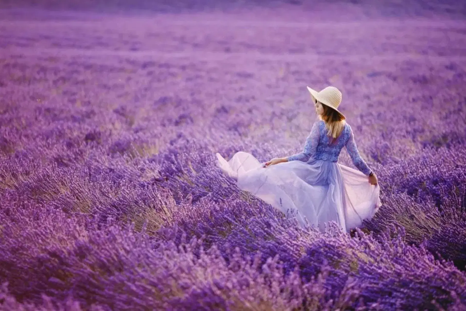 Mùa lavender Thổ Nhĩ Kỳ - Xu hướng du lịch mới của mùa hè 2026 ?
