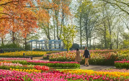 Keukenhof tháng 4 - Thời điểm vườn hoa tulip đẹp nhất Châu Âu khoe sắc rực rỡ nhất trong năm
