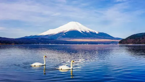 Du lịch Yamanashi Tết 2026 - Khám phá Oshino Hakkai & ngắm Fuji mùa đông