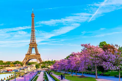 Kinh nghiệm đi Châu Âu mùa hoa tulip 2026 - Những sai lầm cần tránh để có hành trình đáng nhớ cùng Triều Hảo