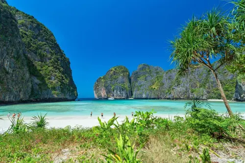 Vịnh Maya Phi Phi - Viên Ngọc Xanh Đẹp Nhất Thái Lan Hè 2026