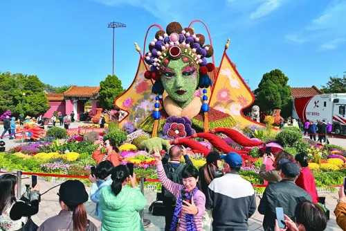 Lễ hội Hoa cúc Khai Phong 2026: Lịch dự kiến và cẩm nang mùa thu