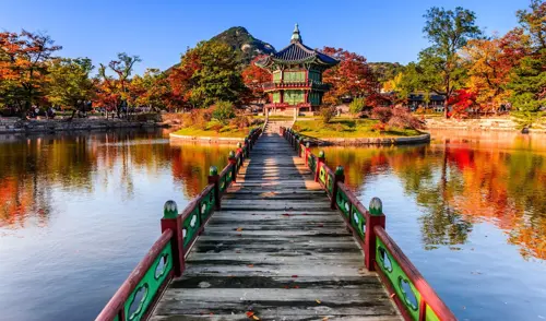 Tour Hàn Quốc Công Ty Nào Tốt Nhất? Top 10 Đơn Vị Uy Tín tại TP. HCM 2026