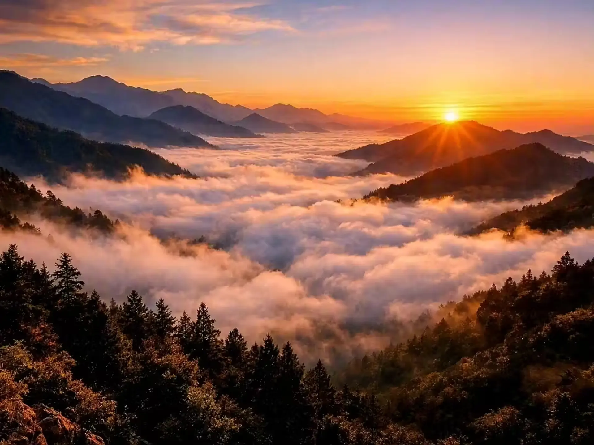 Ngắm lá đỏ Alishan ở đâu? 6 góc đẹp nên lưu cuối năm 