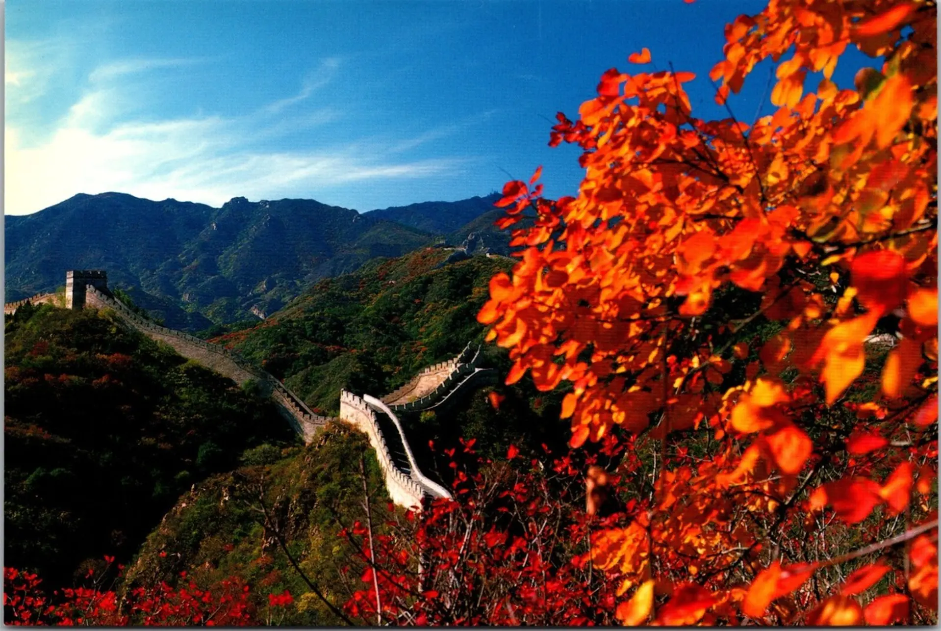 Vạn Lý Trường Thành mùa thu 2025 | Bức tường huyền thoại giữa rừng lá đỏ