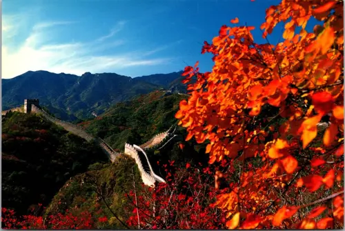 Vạn Lý Trường Thành mùa thu 2025 | Bức tường huyền thoại giữa rừng lá đỏ