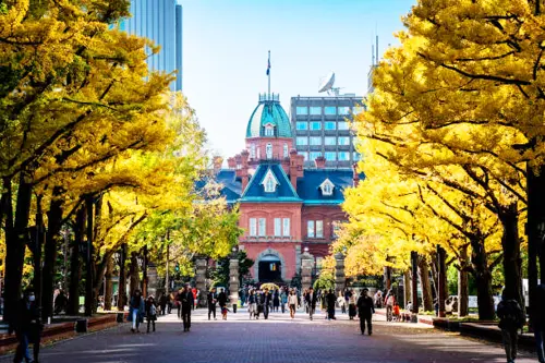 DU LỊCH NHẬT BẢN: HOKKAIDO - SAPPORO (JL) 2025