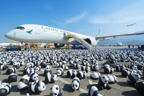Panda Go: Triển Lãm Gấu Trúc với 2.500 Tượng Gấu Trúc tại Sân Bay ở HongKong