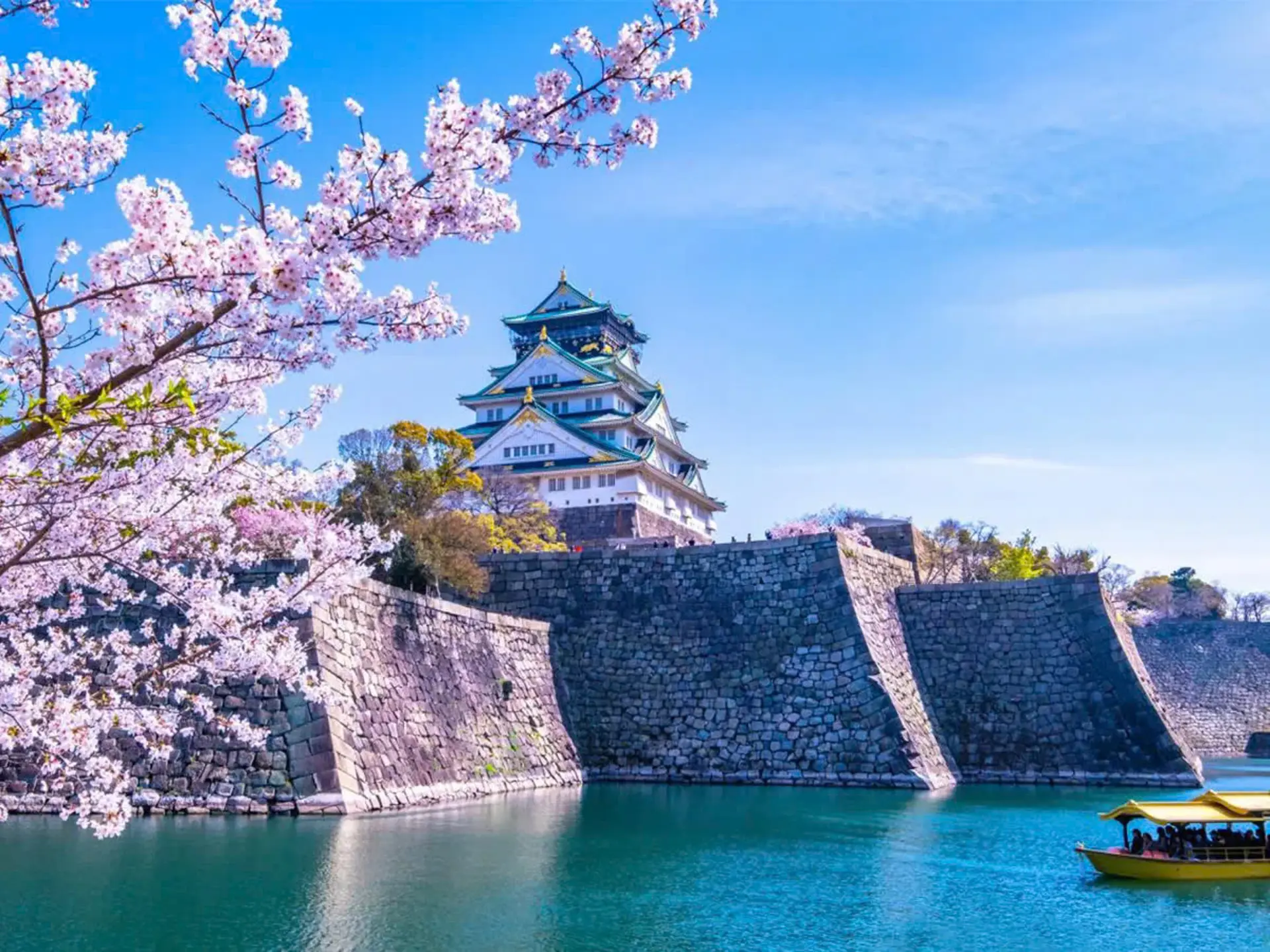 Du Lịch Nhật Bản Mùa Hoa Anh Đào: Vì Sao Bạn Không Thể Bỏ Lỡ Mùa Xuân Tại Xứ Phù Tang?