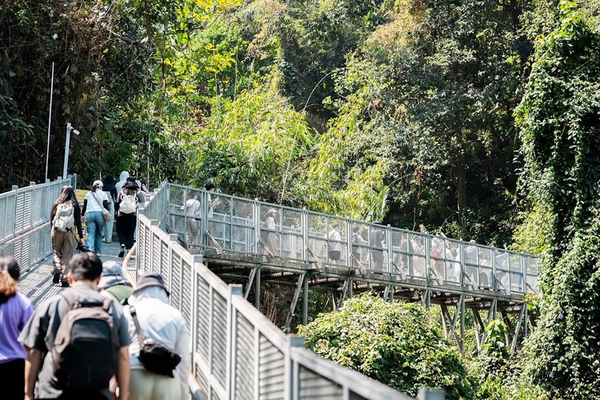 Khai Trương Vườn Thực Vật Chiang Mai: Điểm Tham Quan Nhiệt Đới Mới Lạ Cho Du Khách Yêu Thiên Nhiên