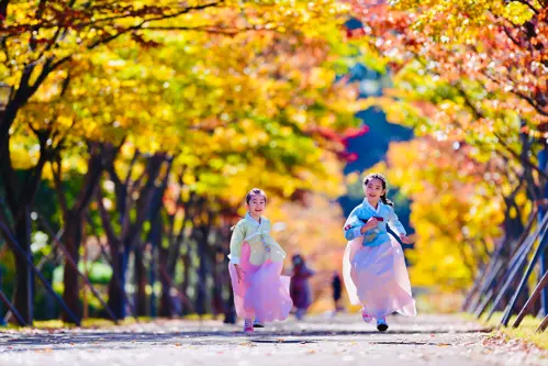 Du Lịch Hàn Quốc Cùng Trẻ Nhỏ – Những Điểm Đến Thân Thiện Gia Đình