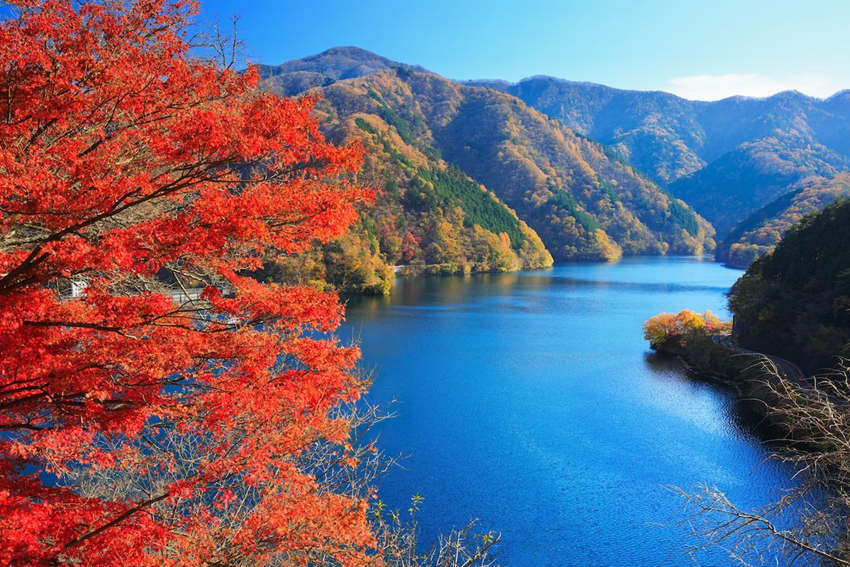 Núi Takao Nhật Bản – Điểm trekking ngắm lá đỏ gần Tokyo