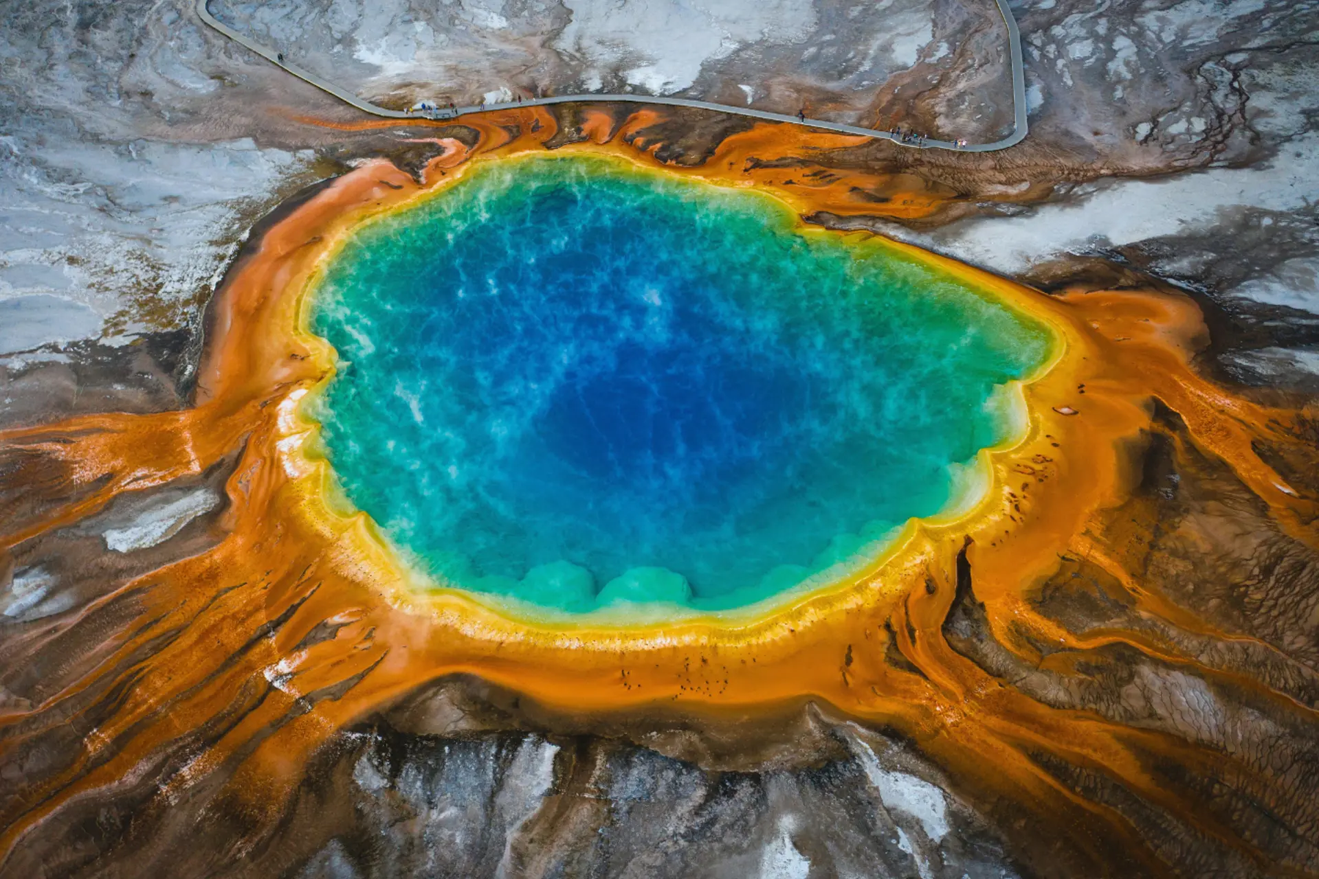 Yellowstone mùa đông 2025 | Khám phá công viên quốc gia hùng vĩ trong tuyết phủ