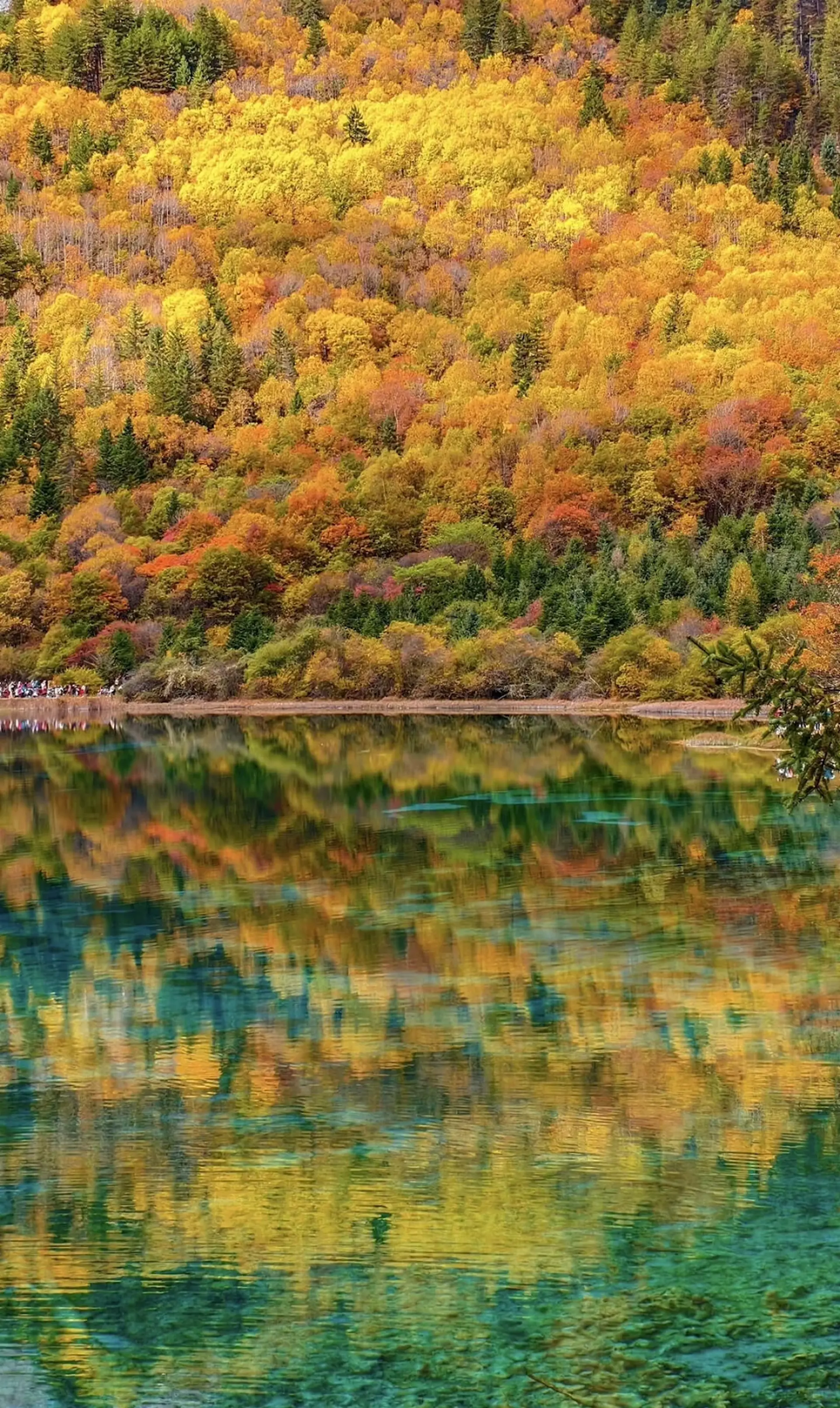 Cửu Trại Câu 2025 - Top cảnh đẹp Tứ Xuyên bạn không thể bỏ lỡ