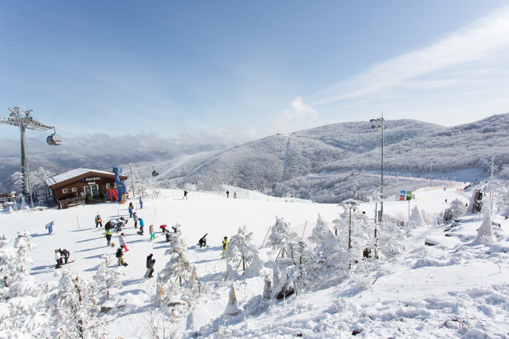 Trượt tuyết Gangwon – Thiên đường mùa đông Hàn Quốc dành cho du khách
