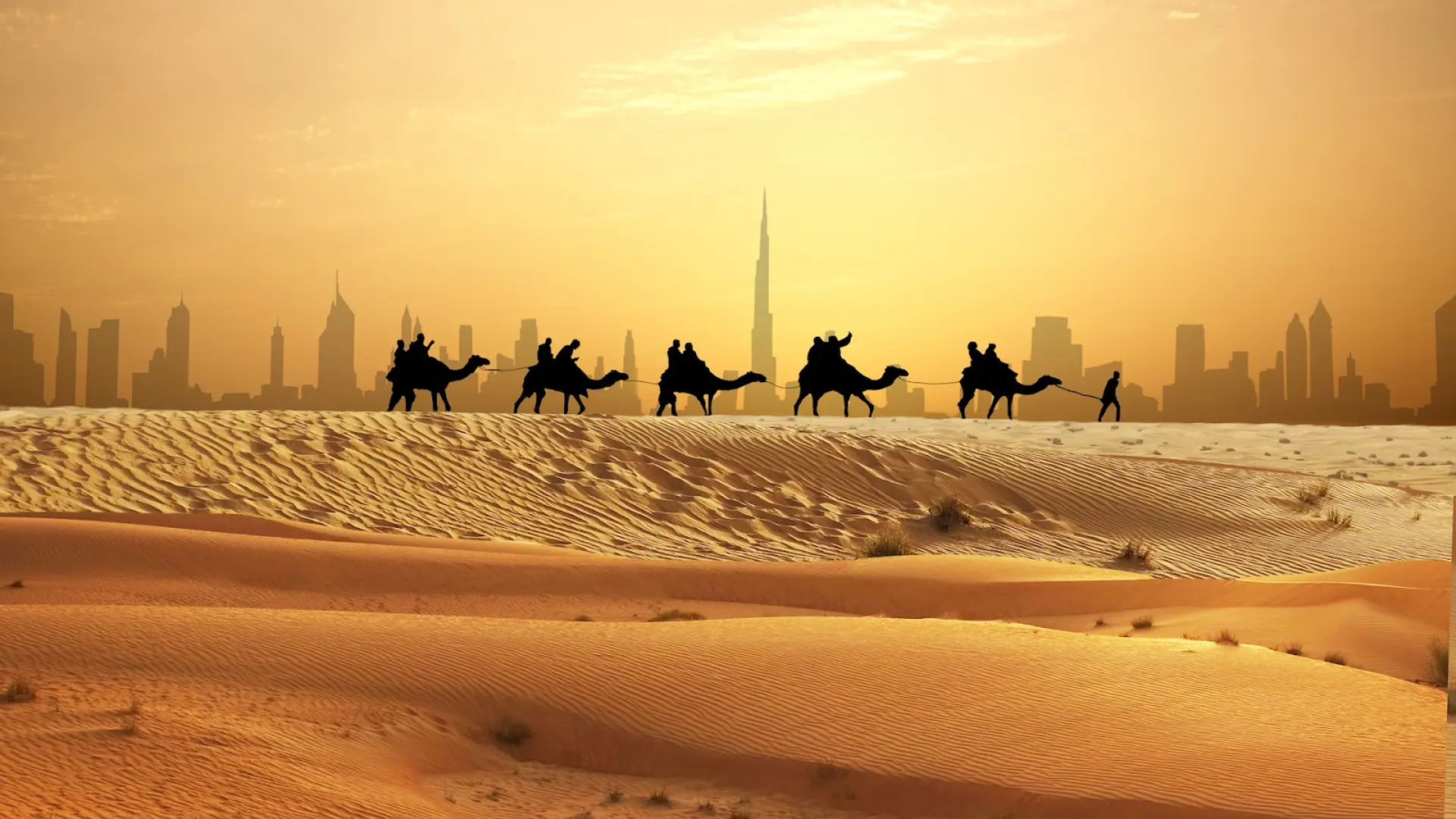 Safari sa mạc Dubai mùa đông 2025 - Trải nghiệm tuyệt vời giữa cát và bầu trời sao