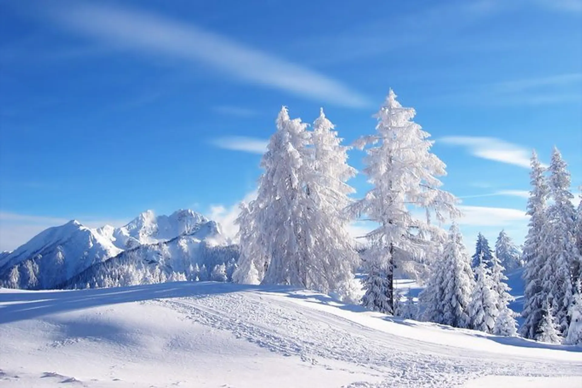 Văn hóa Mông Cổ mùa đông – Gặp gỡ dân du mục & lễ Tsagaan Sar truyền thống