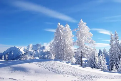 Văn hóa Mông Cổ mùa đông – Gặp gỡ dân du mục & lễ Tsagaan Sar truyền thống