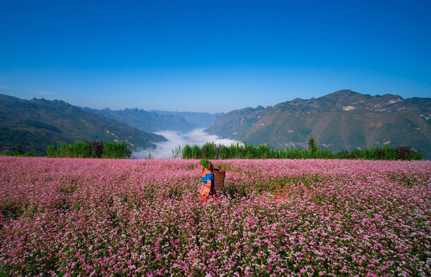 Tháng 11 đi đâu? 10 Điểm du lịch trong & ngoài nước không thể bỏ lỡ